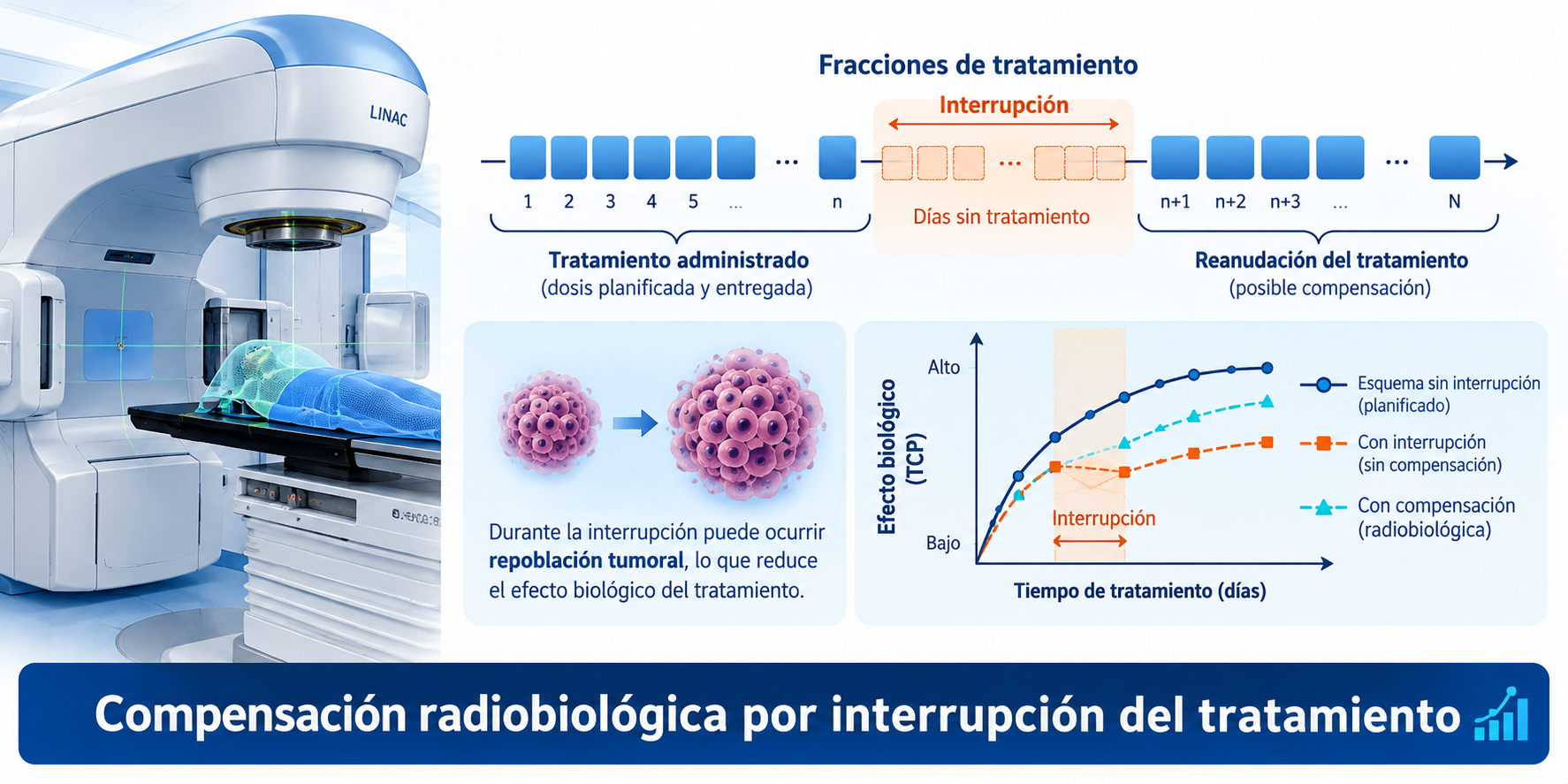 Ilustración conceptual de interrupción de tratamiento, repoblación tumoral y comparación de escenarios radiobiológicos